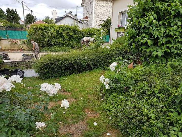 Travaux d'entretien paysager Noisy-le-Grand