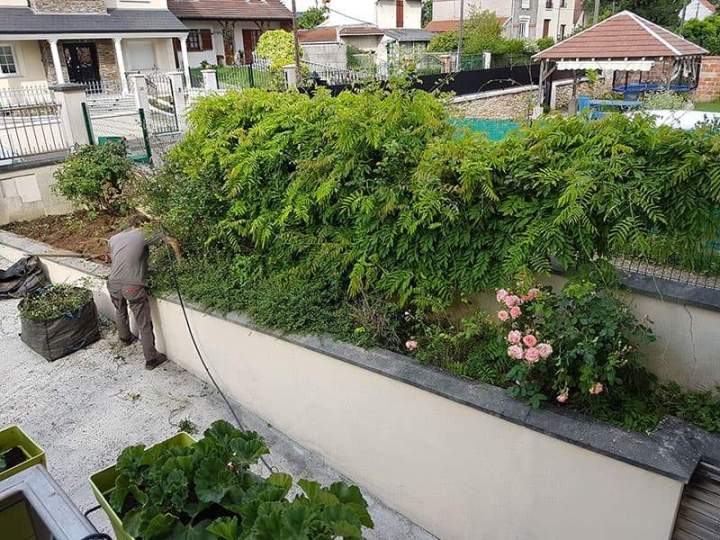 Service de jardinage à domicile Noisy-le-Grand