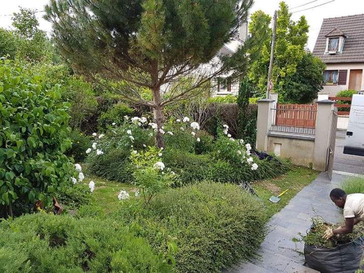 Maintenance d'espaces verts Noisy-le-Grand