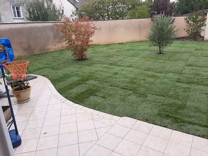 Engazonnement Noisy-le-Grand