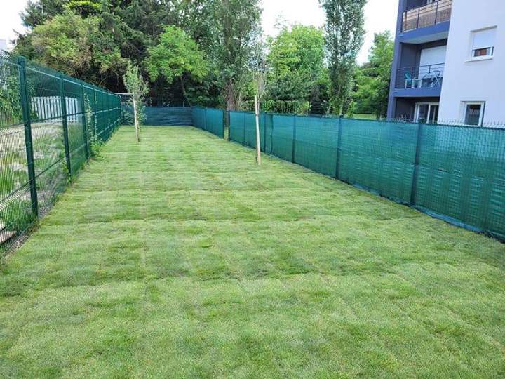 Engazonnement Noisy-le-Grand