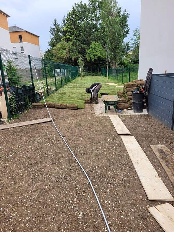 Pose de pelouse Noisy-le-Grand