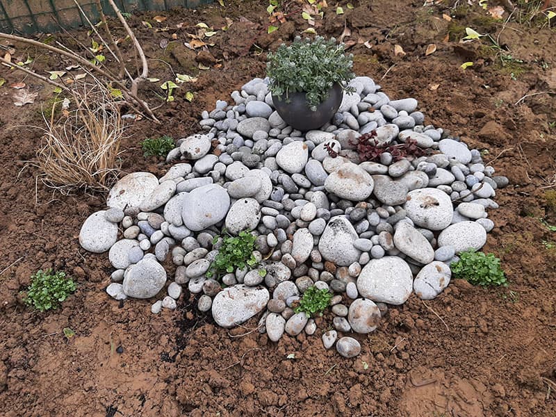Entretien de jardin, Neuilly-sur-Marne