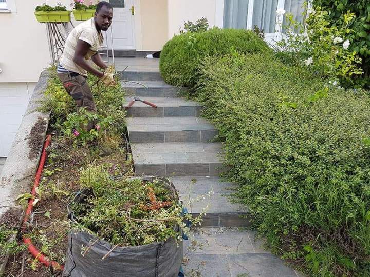 Jardinier pour particuliers Noisy-le-Grand