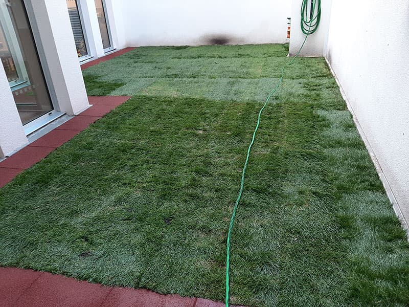 Entretien de jardin, Le Plessis-Trévise