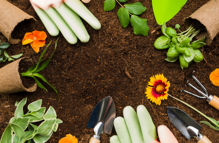 Paysagiste à Noisy-le-Grand