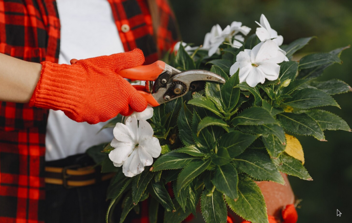 Artisan jardinier à Noisy-le-Grand
