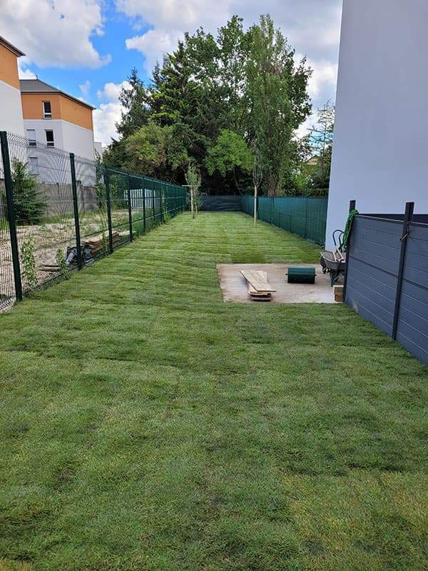 Pose de pelouse Noisy-le-Grand