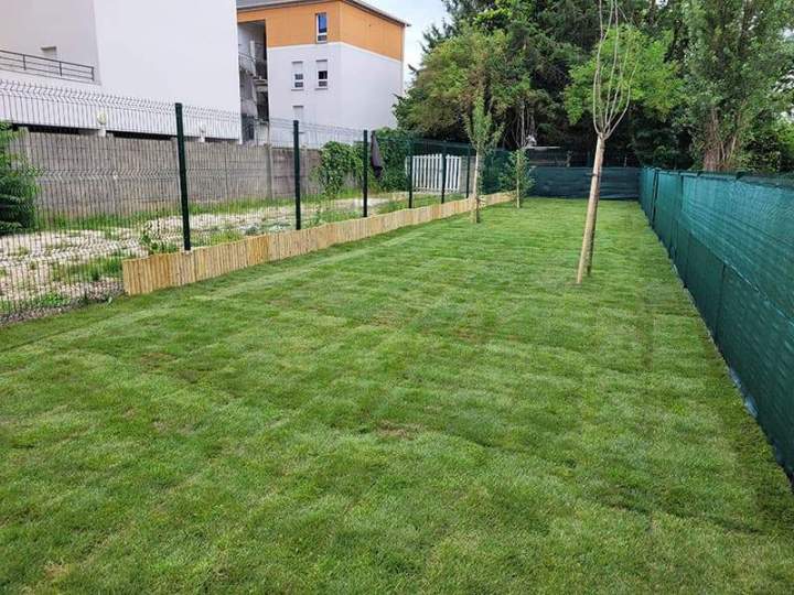Rénovation et entretien de jardin Noisy-le-Grand
