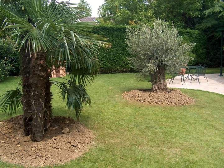 c6d43a57 f1c6 44ef 9d55 c91b7c02b52e