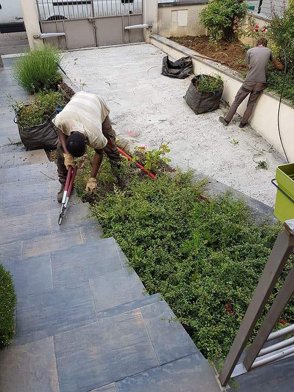 Jardinier pour particuliers Noisy-le-Grand