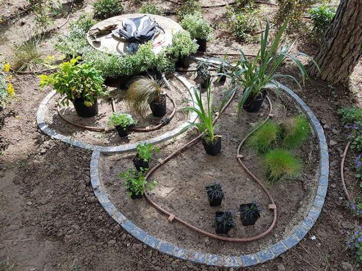 Création de jardin sur mesure Noisy-le-Grand