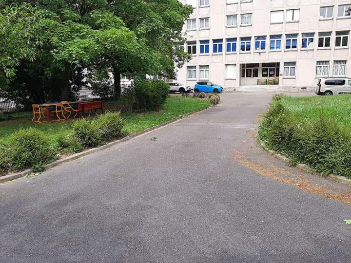 Soins et maintenance de jardins Noisy-le-Grand