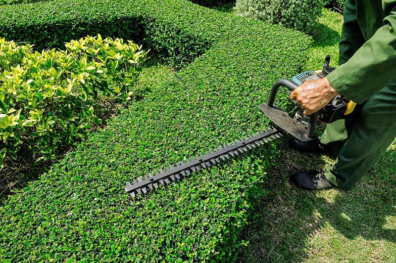 Entretien de jardin Noisi-le-Grand