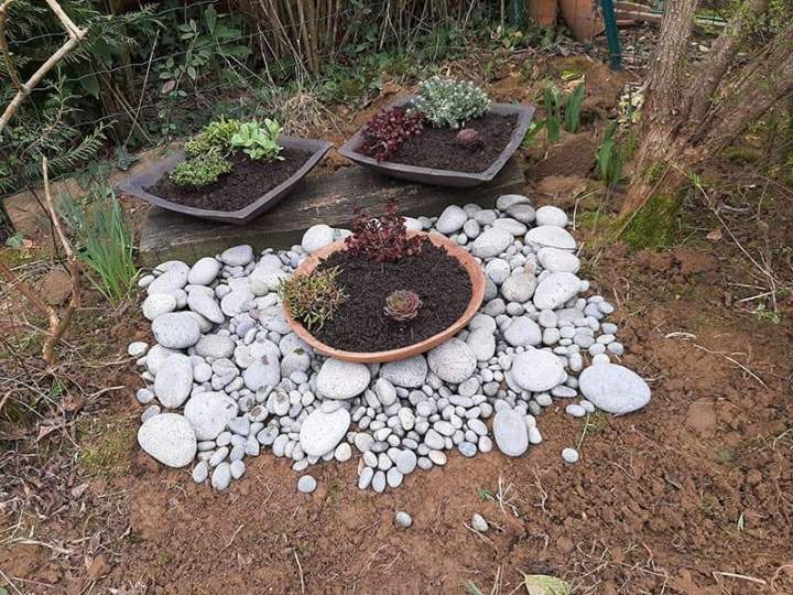 Décoration jardin Noisy-le-Grand